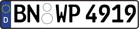 BN-WP4919