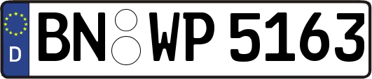 BN-WP5163