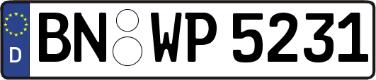 BN-WP5231