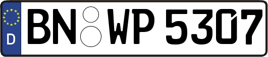 BN-WP5307