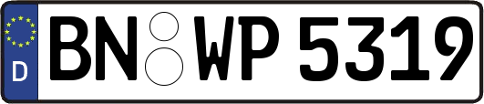 BN-WP5319