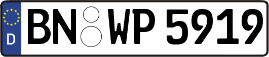 BN-WP5919