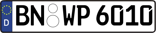 BN-WP6010