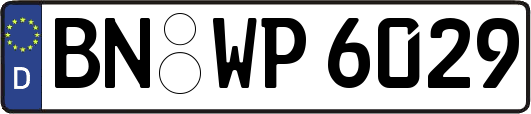 BN-WP6029