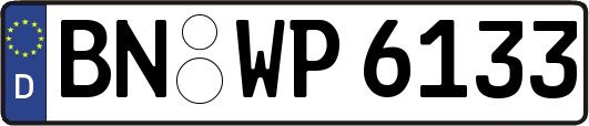 BN-WP6133