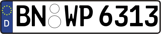 BN-WP6313