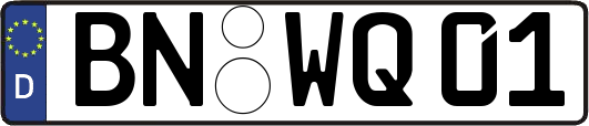 BN-WQ01