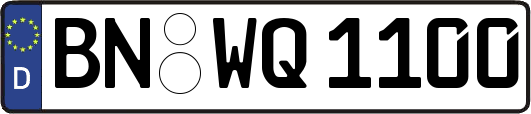 BN-WQ1100