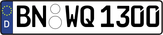 BN-WQ1300