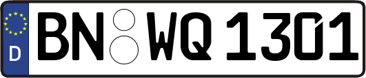 BN-WQ1301