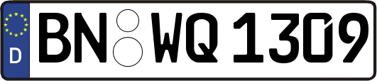 BN-WQ1309
