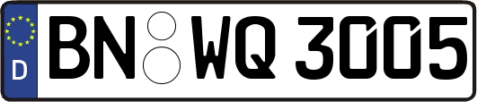 BN-WQ3005