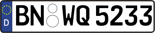 BN-WQ5233