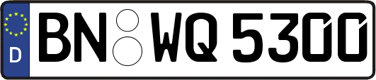 BN-WQ5300