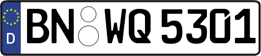 BN-WQ5301