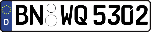 BN-WQ5302