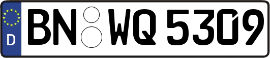 BN-WQ5309