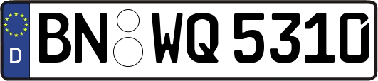 BN-WQ5310