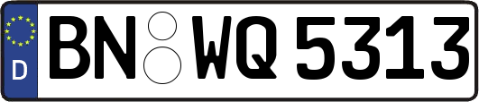 BN-WQ5313