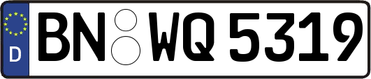 BN-WQ5319