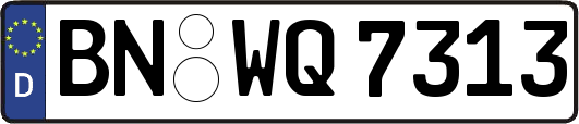 BN-WQ7313