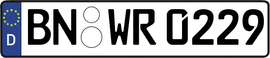 BN-WR0229