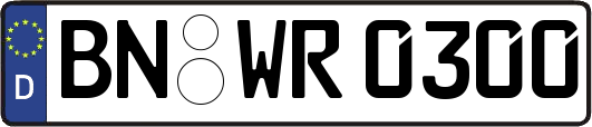 BN-WR0300
