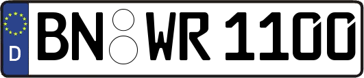 BN-WR1100