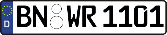 BN-WR1101