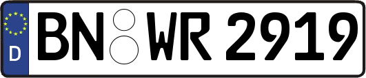 BN-WR2919