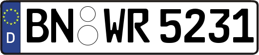 BN-WR5231