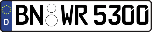 BN-WR5300