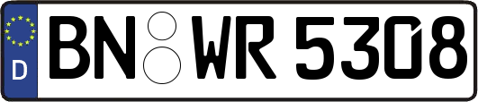 BN-WR5308