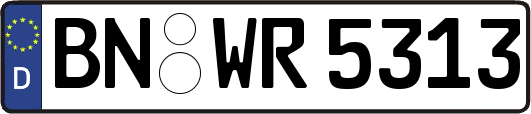 BN-WR5313