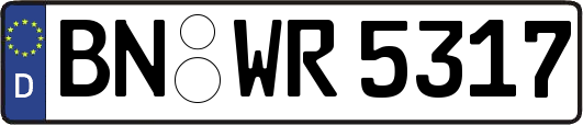 BN-WR5317