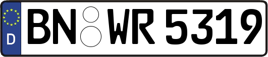 BN-WR5319