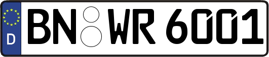 BN-WR6001