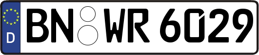 BN-WR6029
