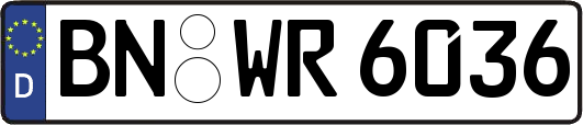 BN-WR6036
