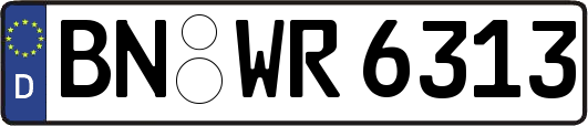 BN-WR6313