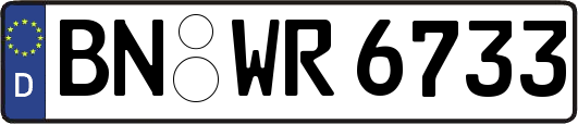 BN-WR6733