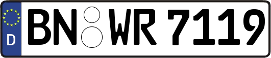 BN-WR7119