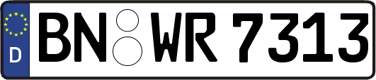 BN-WR7313