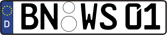 BN-WS01
