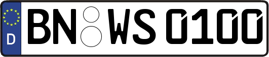 BN-WS0100