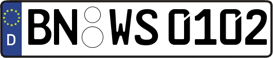 BN-WS0102