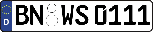 BN-WS0111