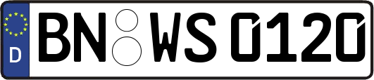 BN-WS0120
