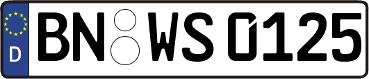 BN-WS0125