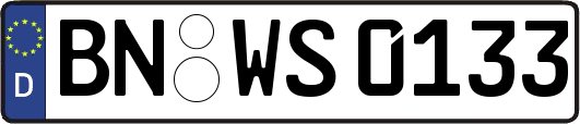 BN-WS0133